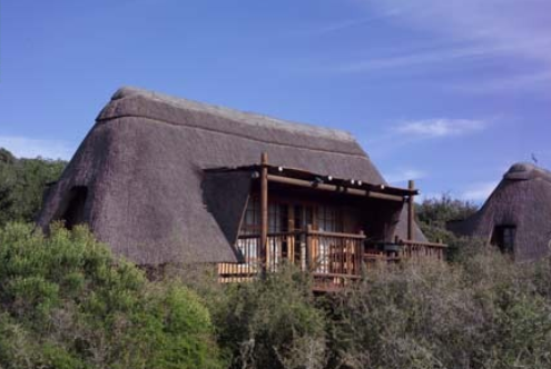 Addo Elephant Matyholweni Rest Camp thumbnail 2